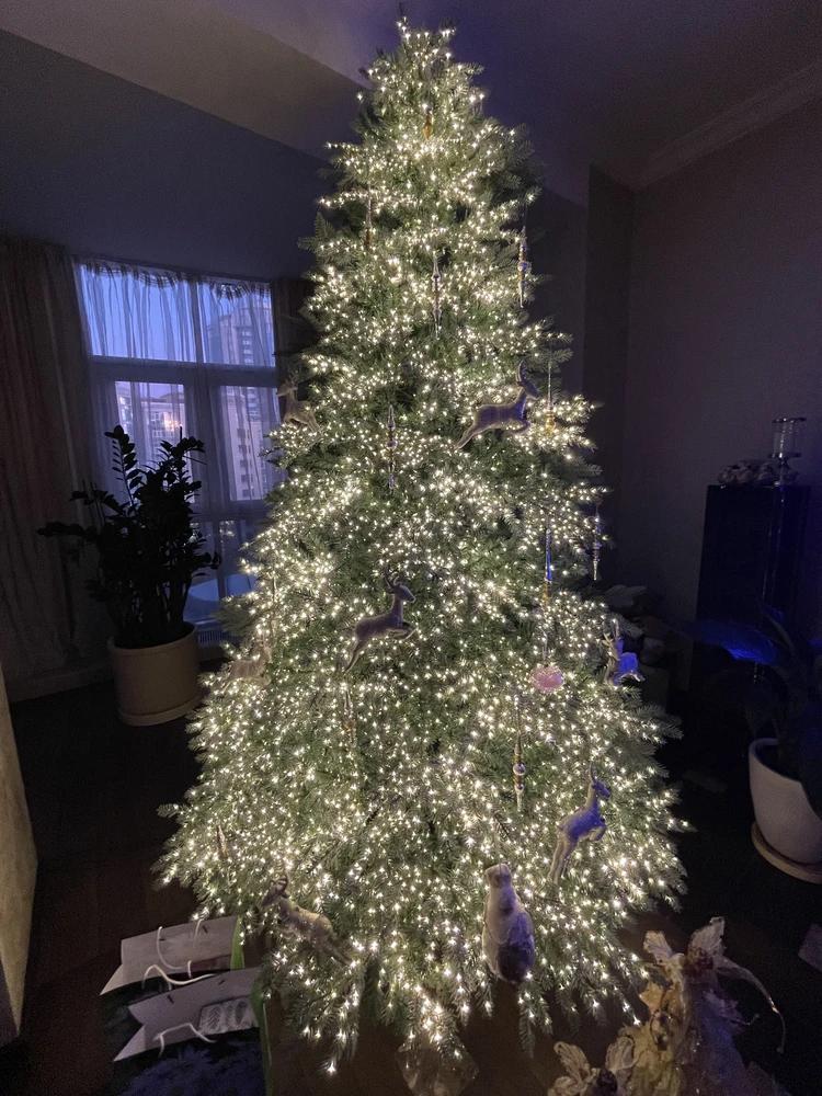 Олена Ліщенюк